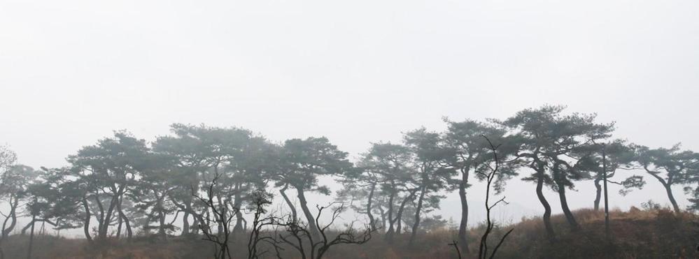 Hamyang Namgye Ilodang Hanok Stay Værelse billede